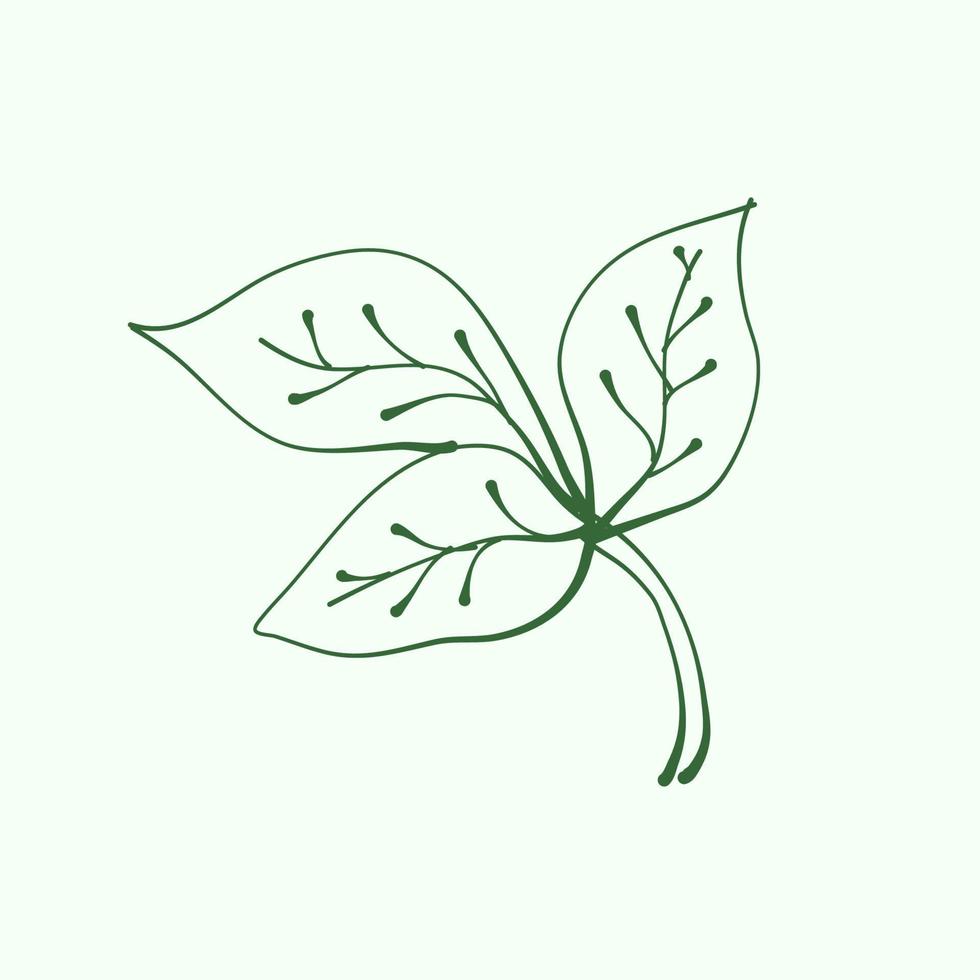 leaf outline for decoration. Vector Leaf Silhouette. Hand drawn branches with leaves and branch. plant.