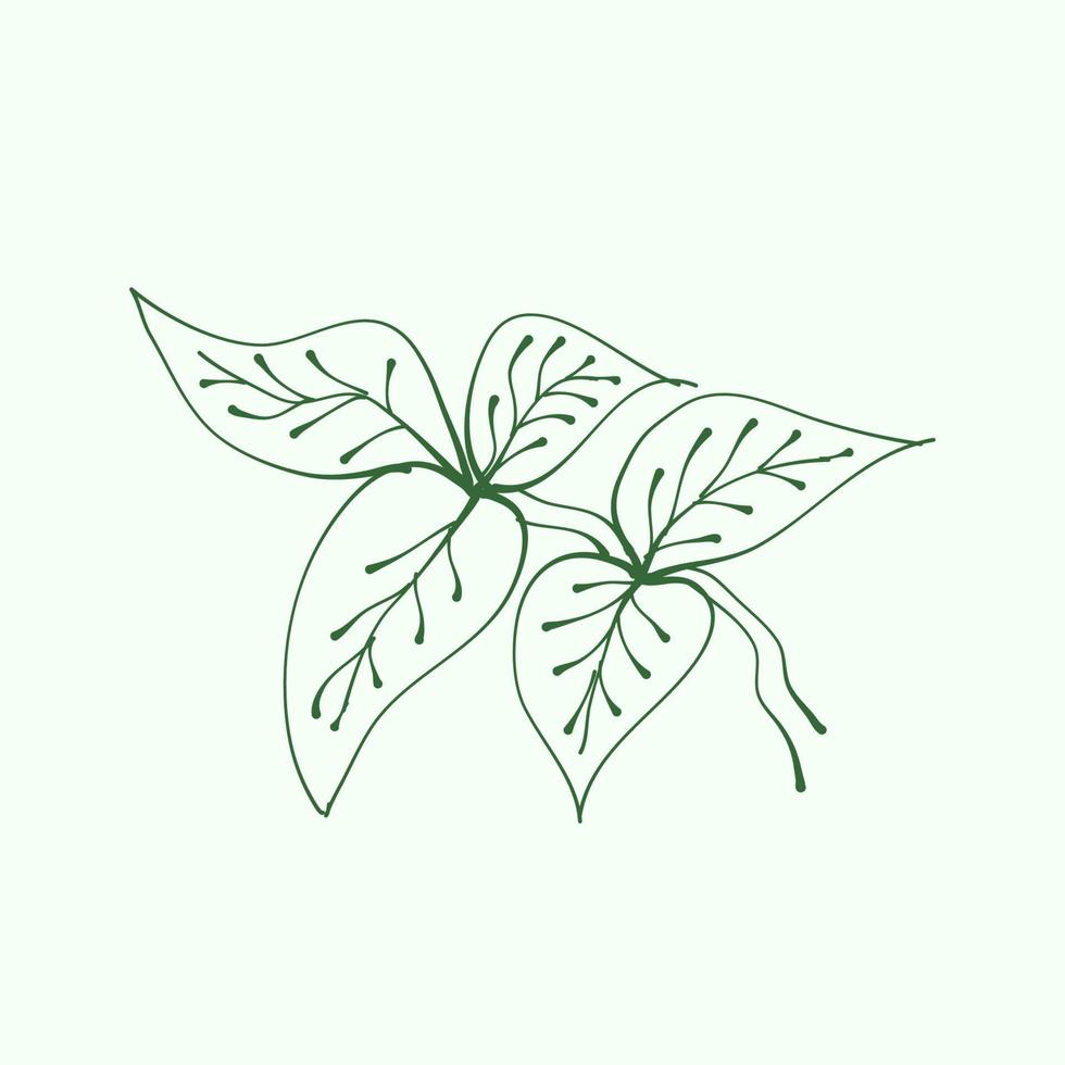 contorno de hoja para decoración. silueta de hoja vectorial. ramas dibujadas a mano con hojas y ramas. planta. vector