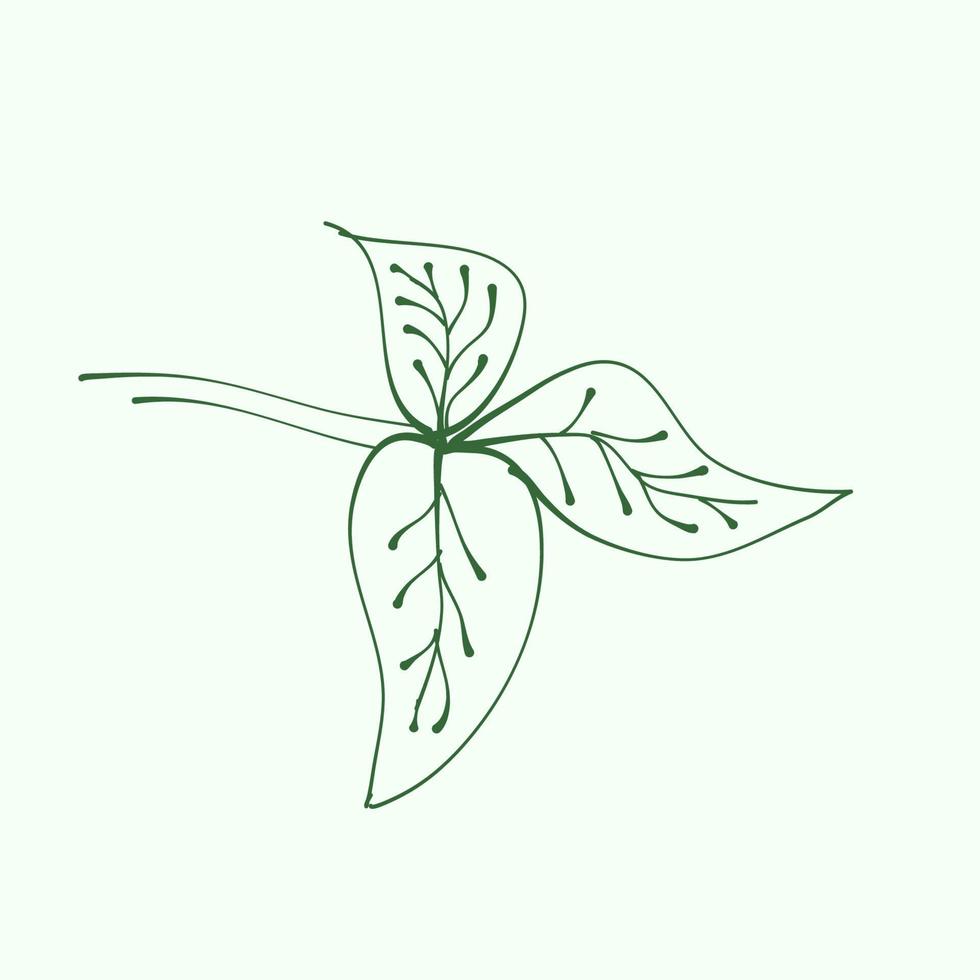 contorno de hoja para decoración. silueta de hoja vectorial. ramas dibujadas a mano con hojas y ramas. planta. vector