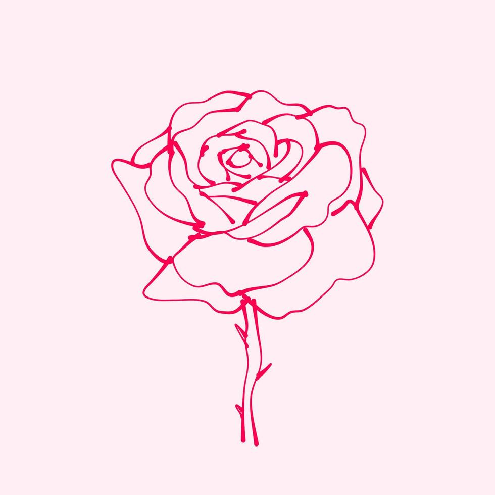 rosa dibujada a mano. dibujo de flor rosa. ilustración de flor de rosa en estilo dibujado a mano. linda flor contorno rosa. vector