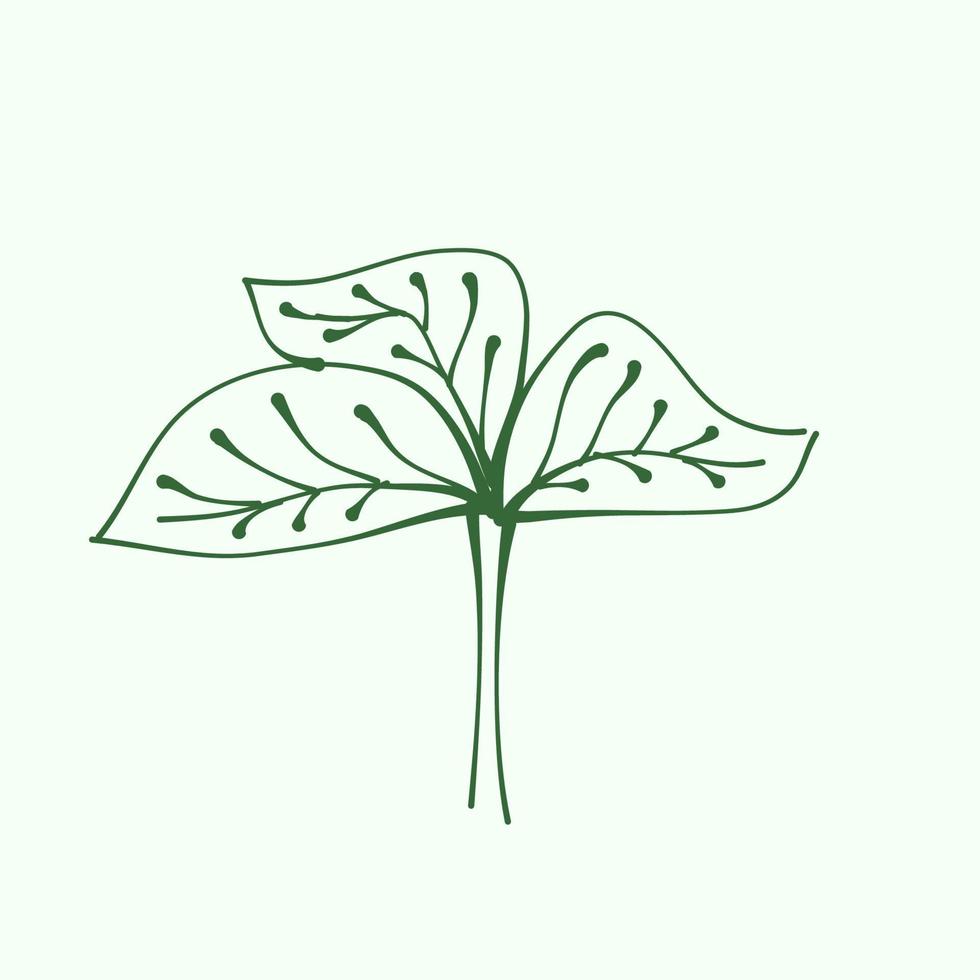 leaf outline for decoration. Vector Leaf Silhouette. Hand drawn branches with leaves and branch. plant.