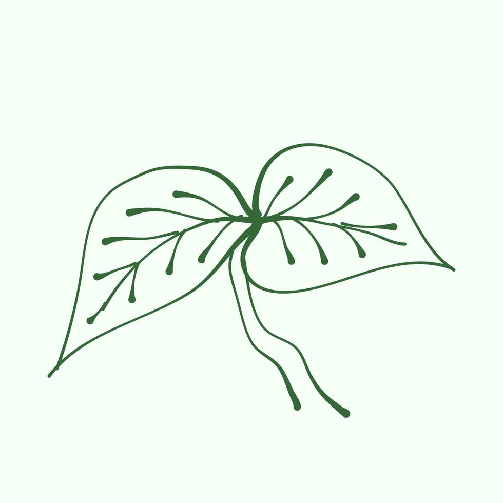 leaf outline for decoration. Vector Leaf Silhouette. Hand drawn branches with leaves and branch. plant.