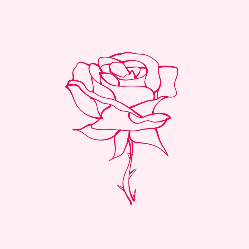 rosa dibujada a mano. dibujo de flor rosa. ilustración de flor de rosa en estilo dibujado a mano. linda flor contorno rosa. vector