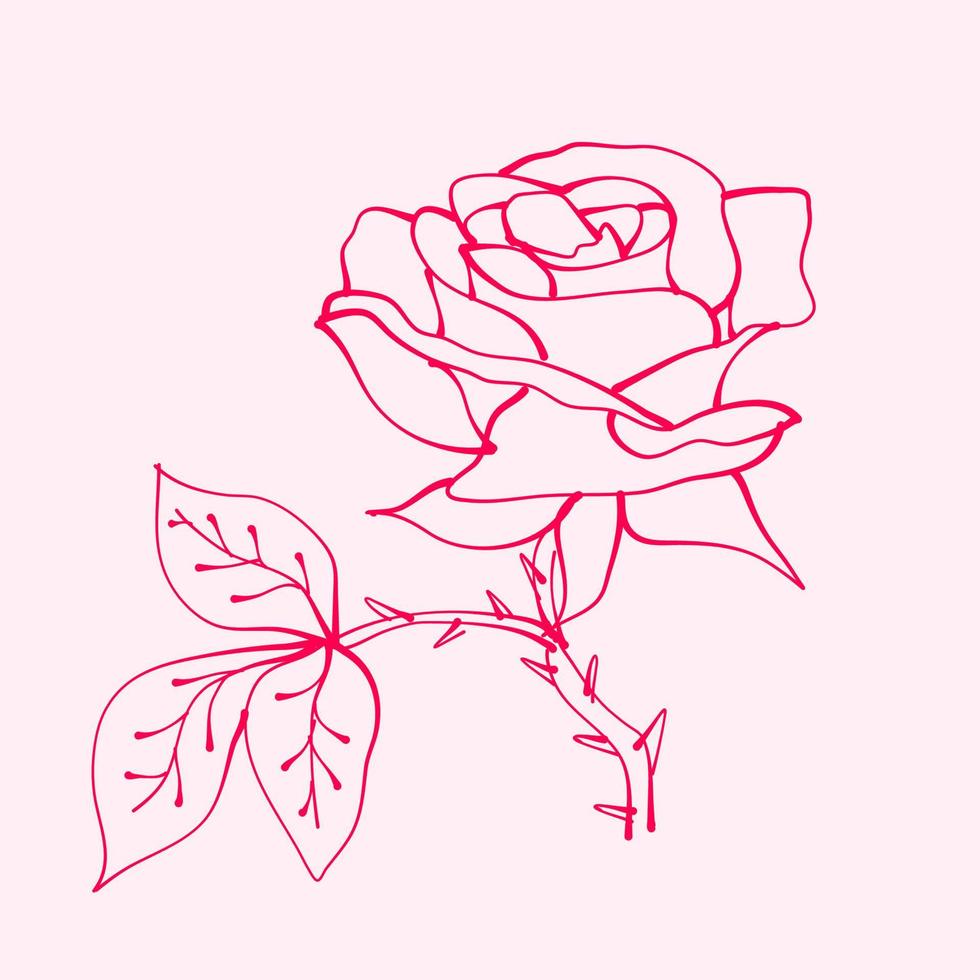 rosas dibujadas a mano con hoja. dibujo de flor rosa. ilustración de flor de rosa en estilo dibujado a mano. linda flor contorno rosa. vector