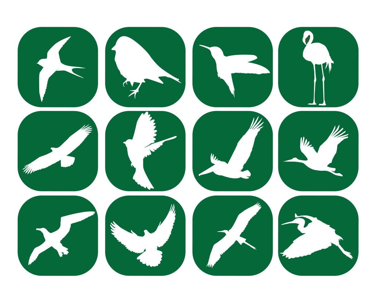 birds in the green squares on a white background vector