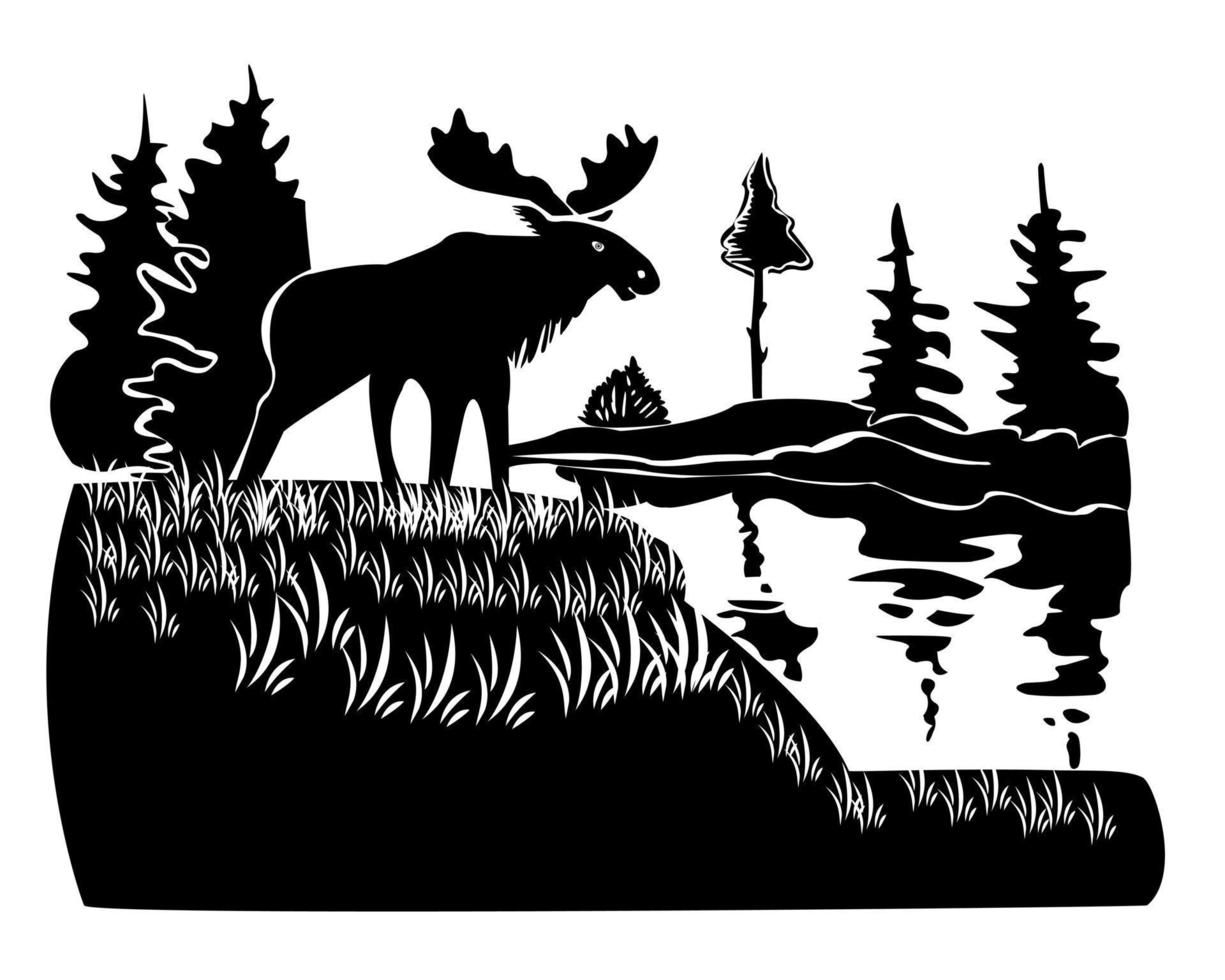 moose stands on a hill on a white background vector