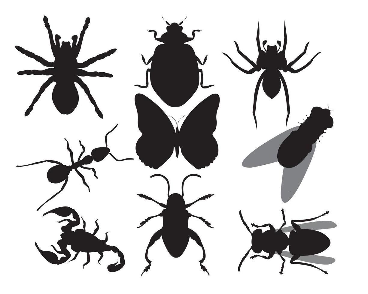 insectos sobre un fondo blanco vector