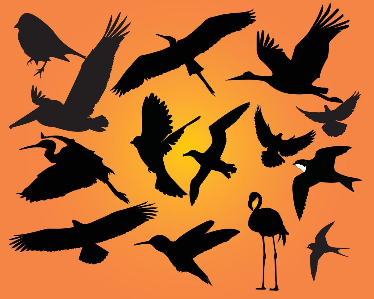 Wild birds on an orange background vector