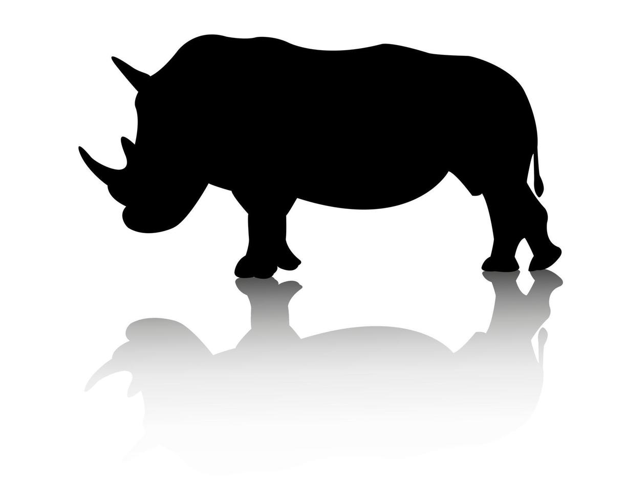animal rinoceronte sobre fondo blanco vector
