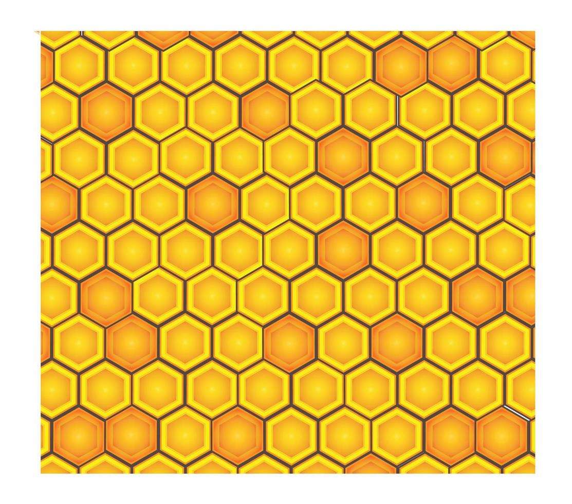 Bee hive illustration vector