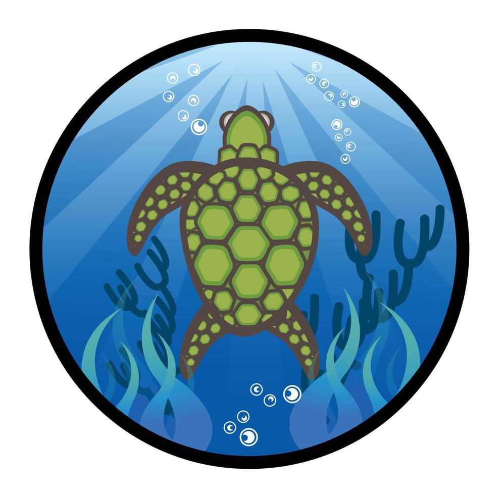 Turtle cute illustration vector