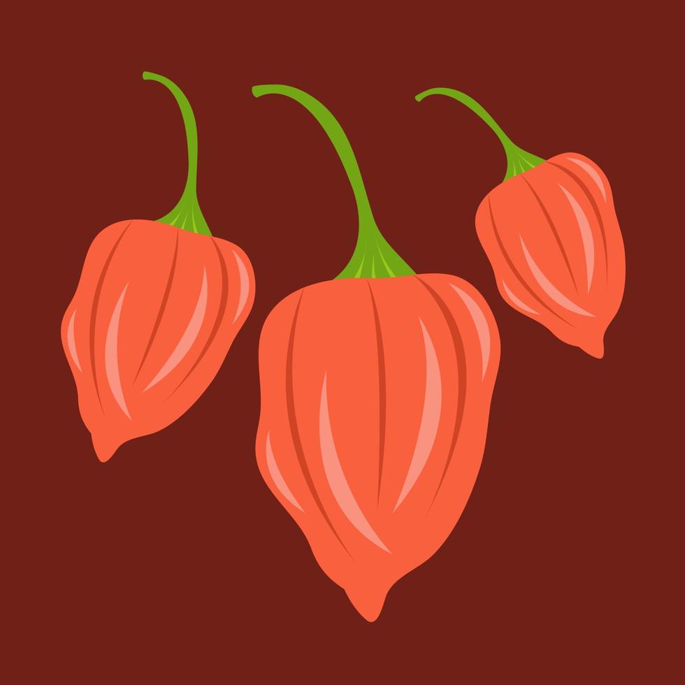 Habanero vector illustration for graphic design and decorative element