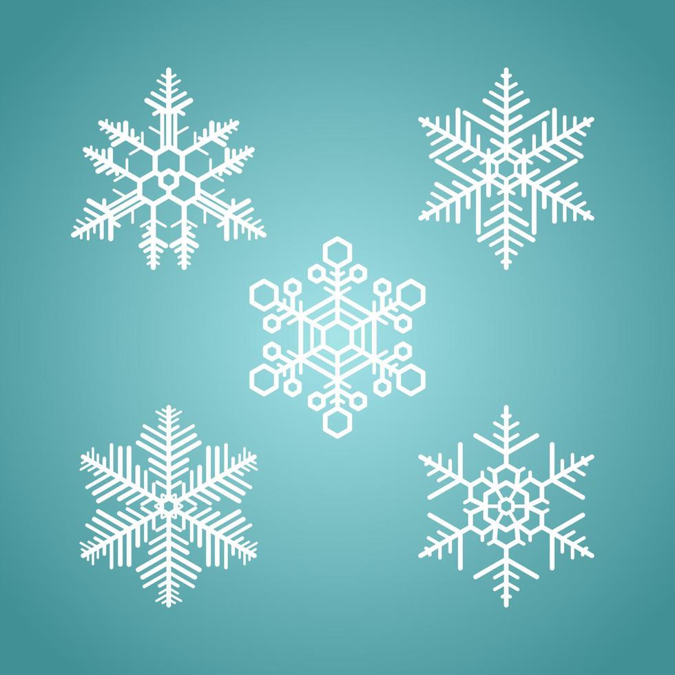 Set Of 5 Snowflake Icons Pattern vector