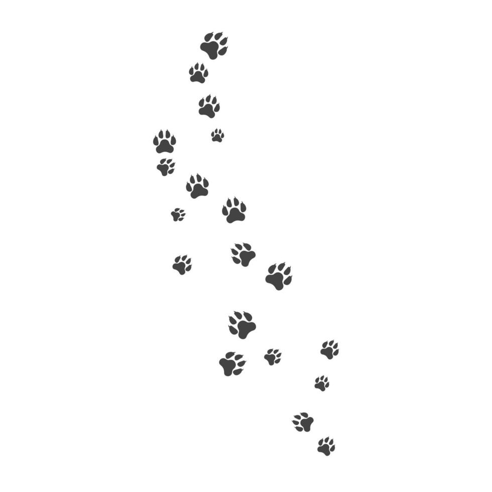 Paw background template vector