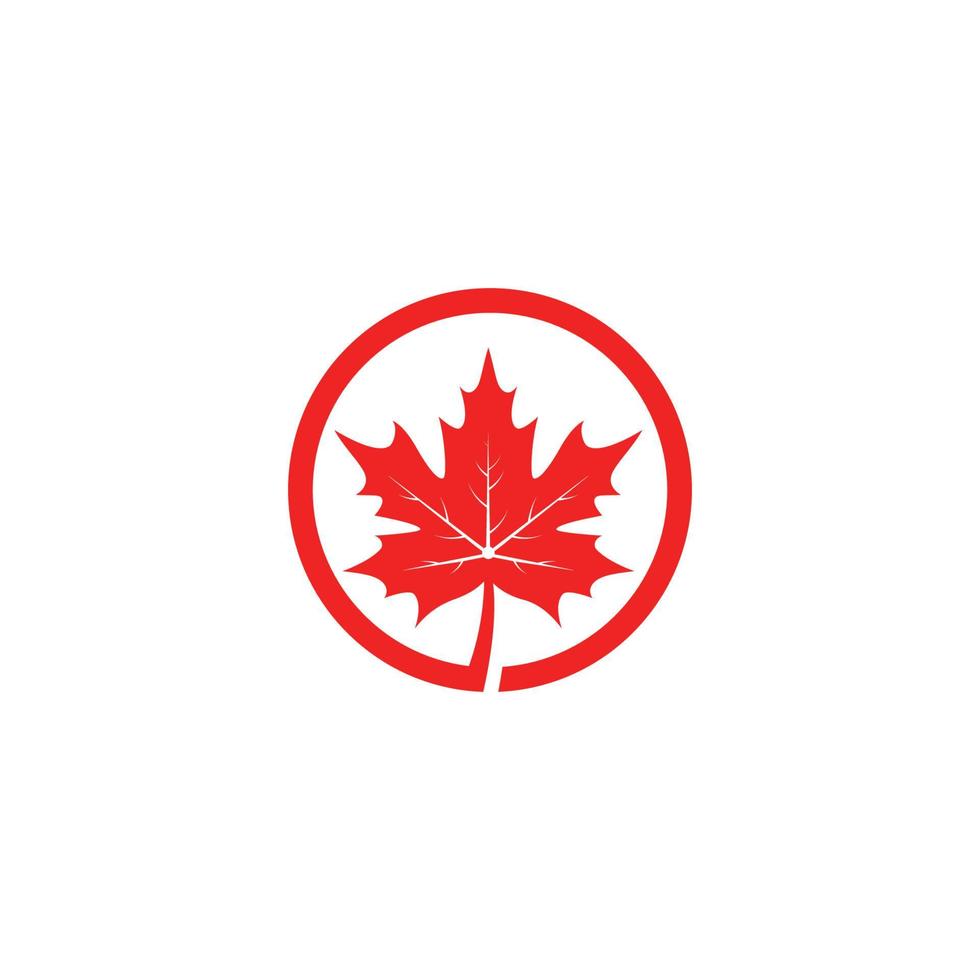 Maple leaf logo template vector icon illustration