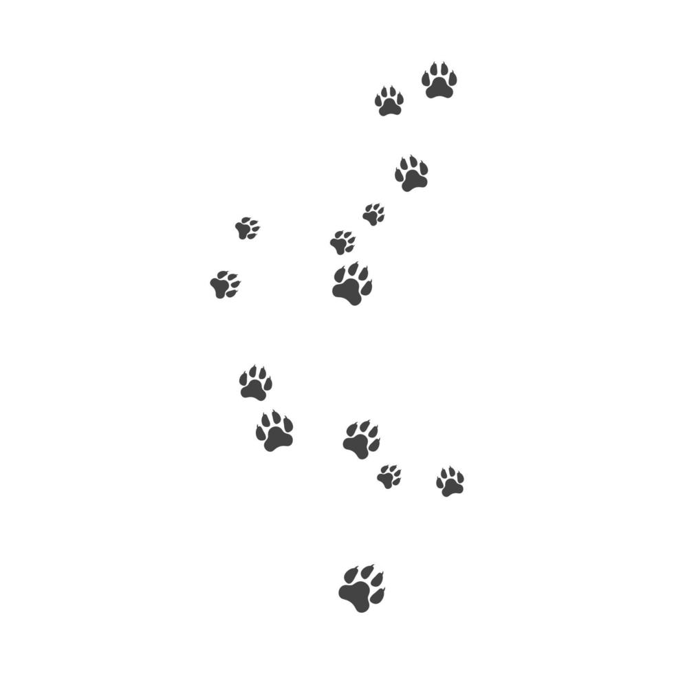 Paw background template vector