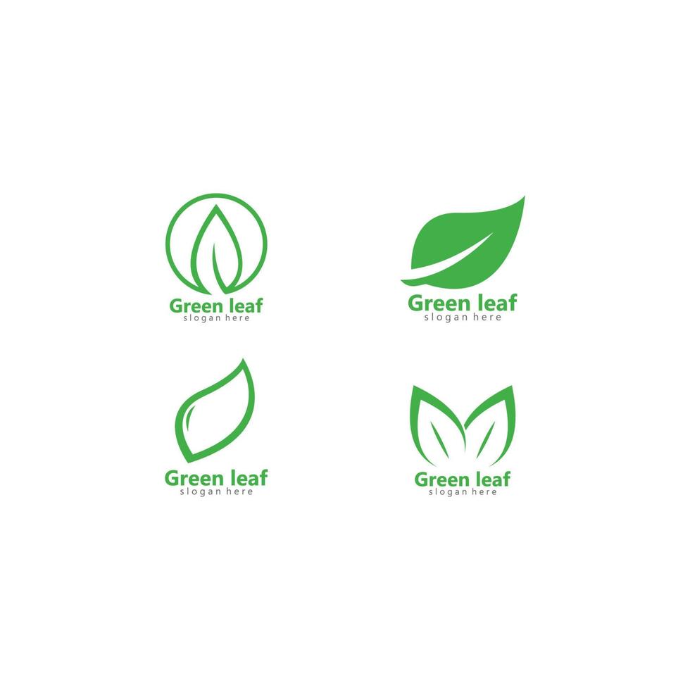ilustración de icono de vector de logotipo de hoja ecológica verde