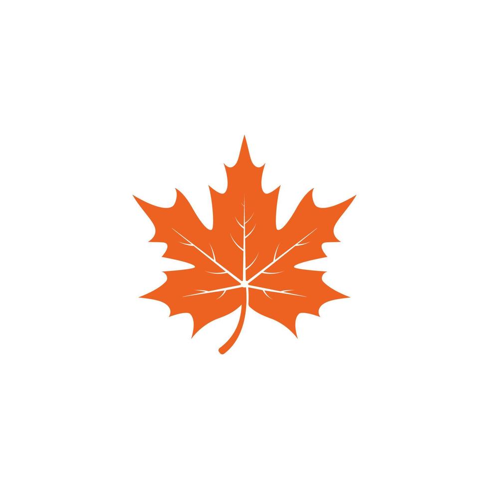 Maple leaf logo template vector icon illustration