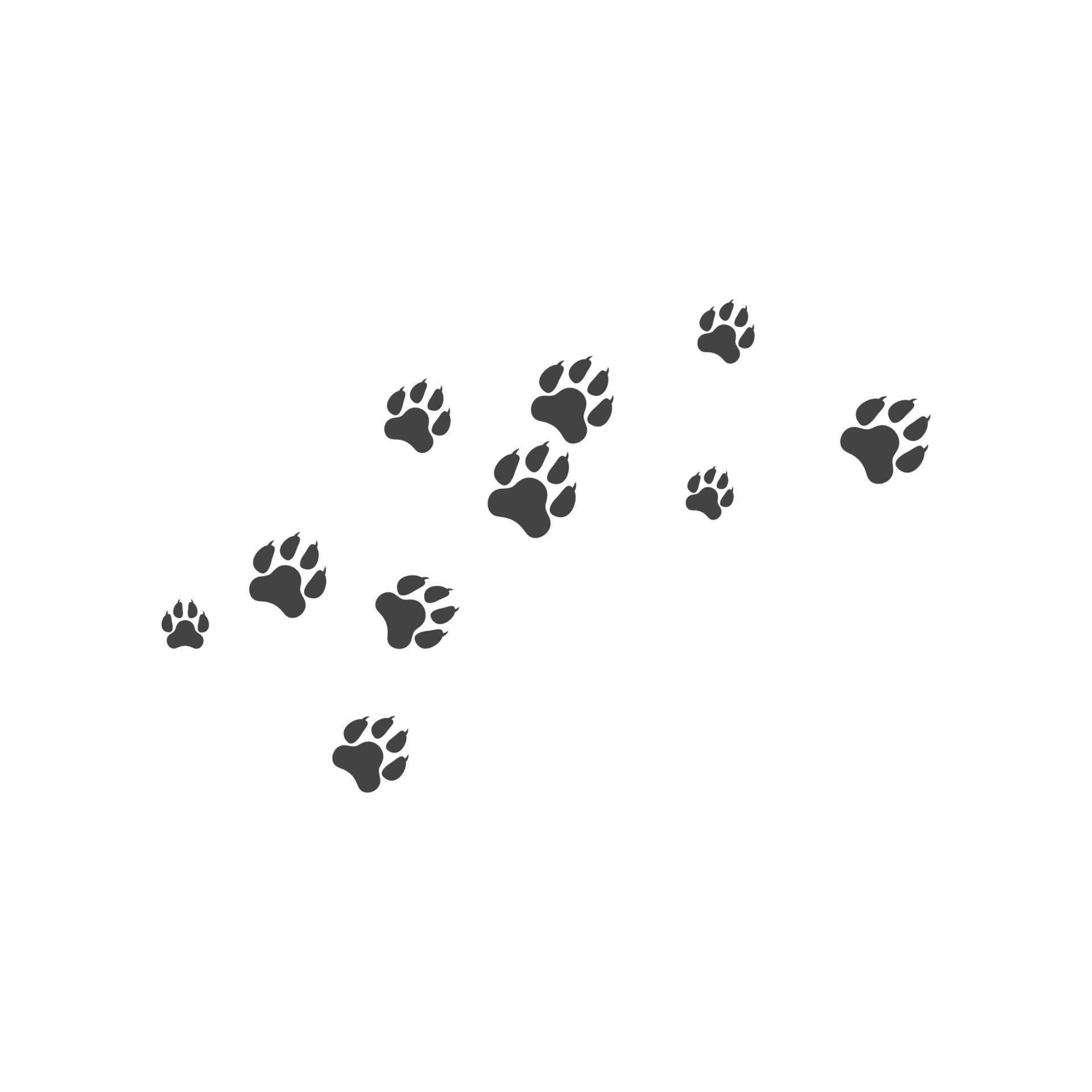 Paw background template 15028202 Vector Art at Vecteezy