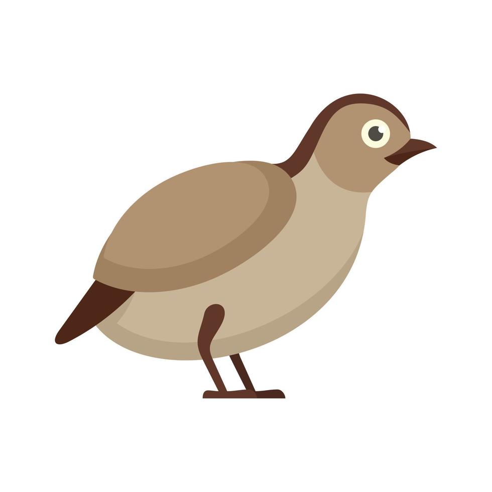 Quail wild icon flat isolated vector