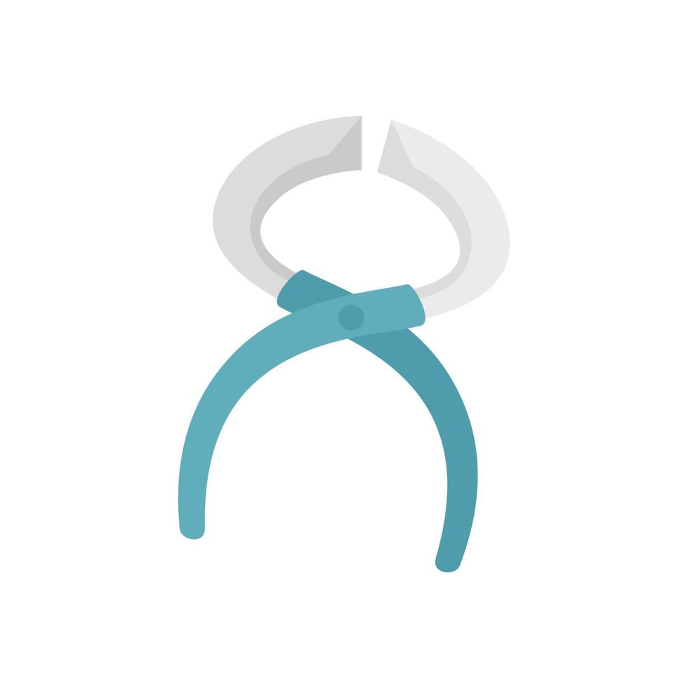 Manicurist job tool icon flat isolated vector