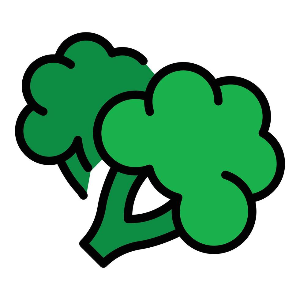 Fresh broccoli icon color outline vector