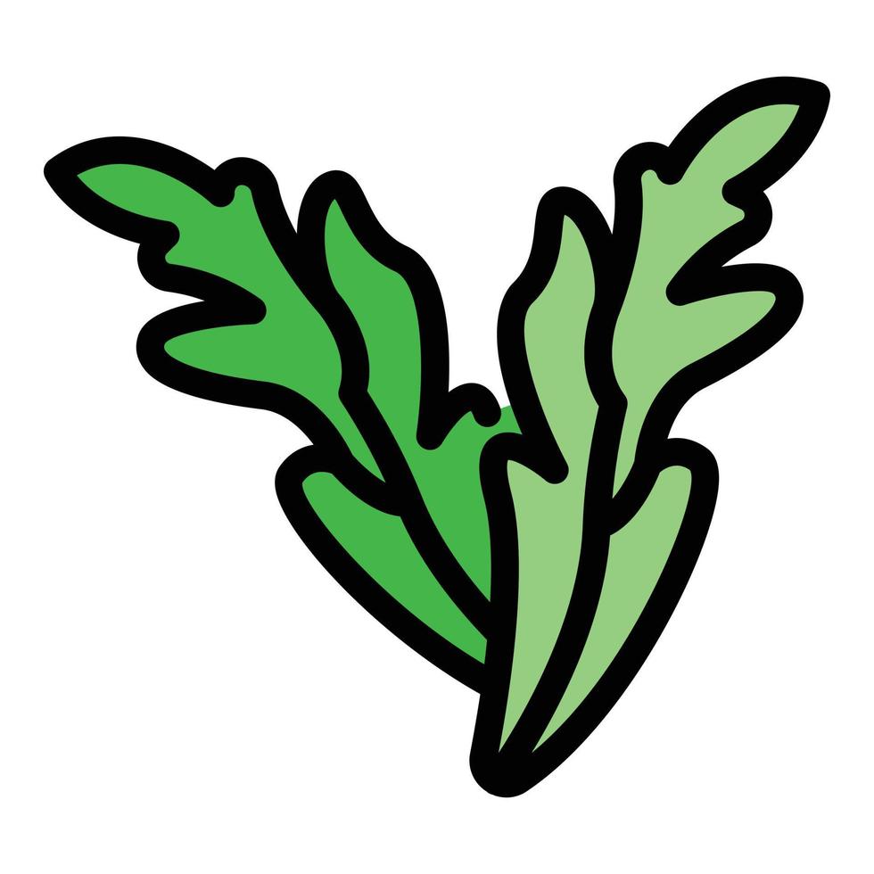 vector de contorno de color de icono de rúcula de planta