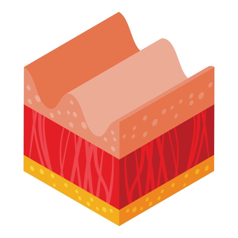 Old skin icon isometric vector. Molecule cell vector