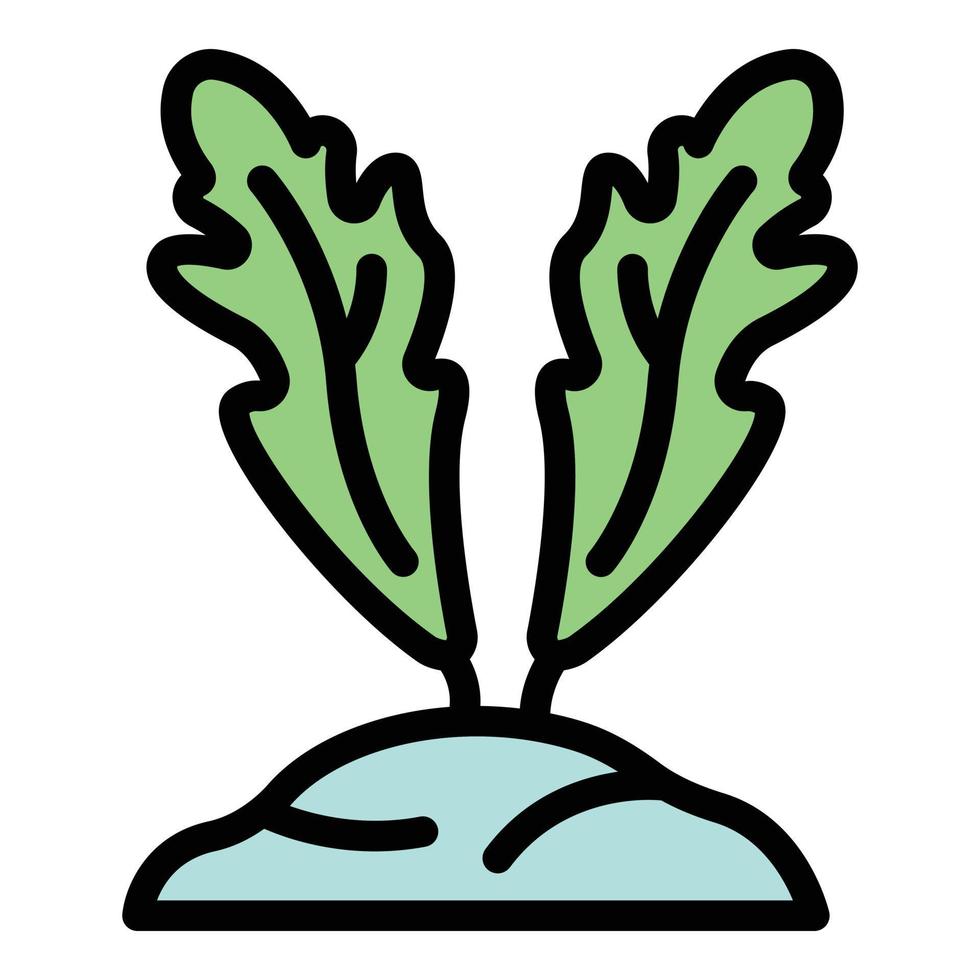 Ground arugula icon color outline vector