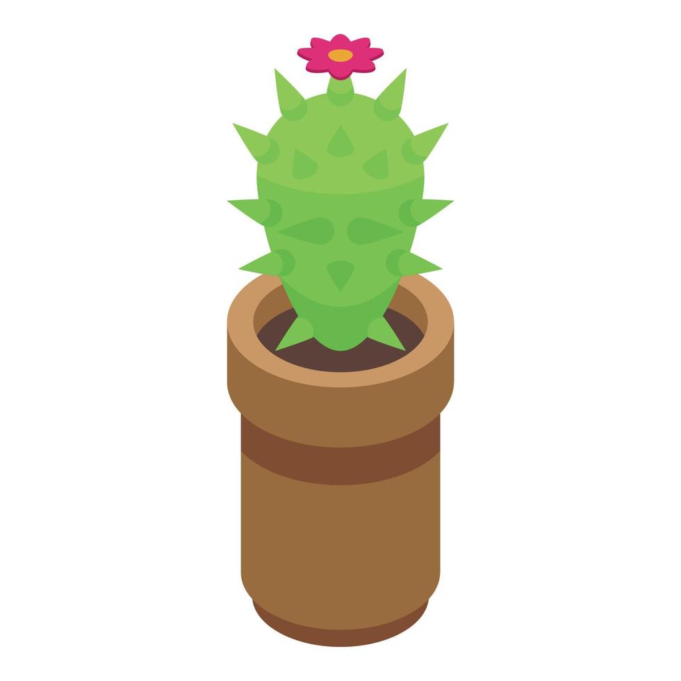 Cactus pot icon isometric vector. Desert grass vector
