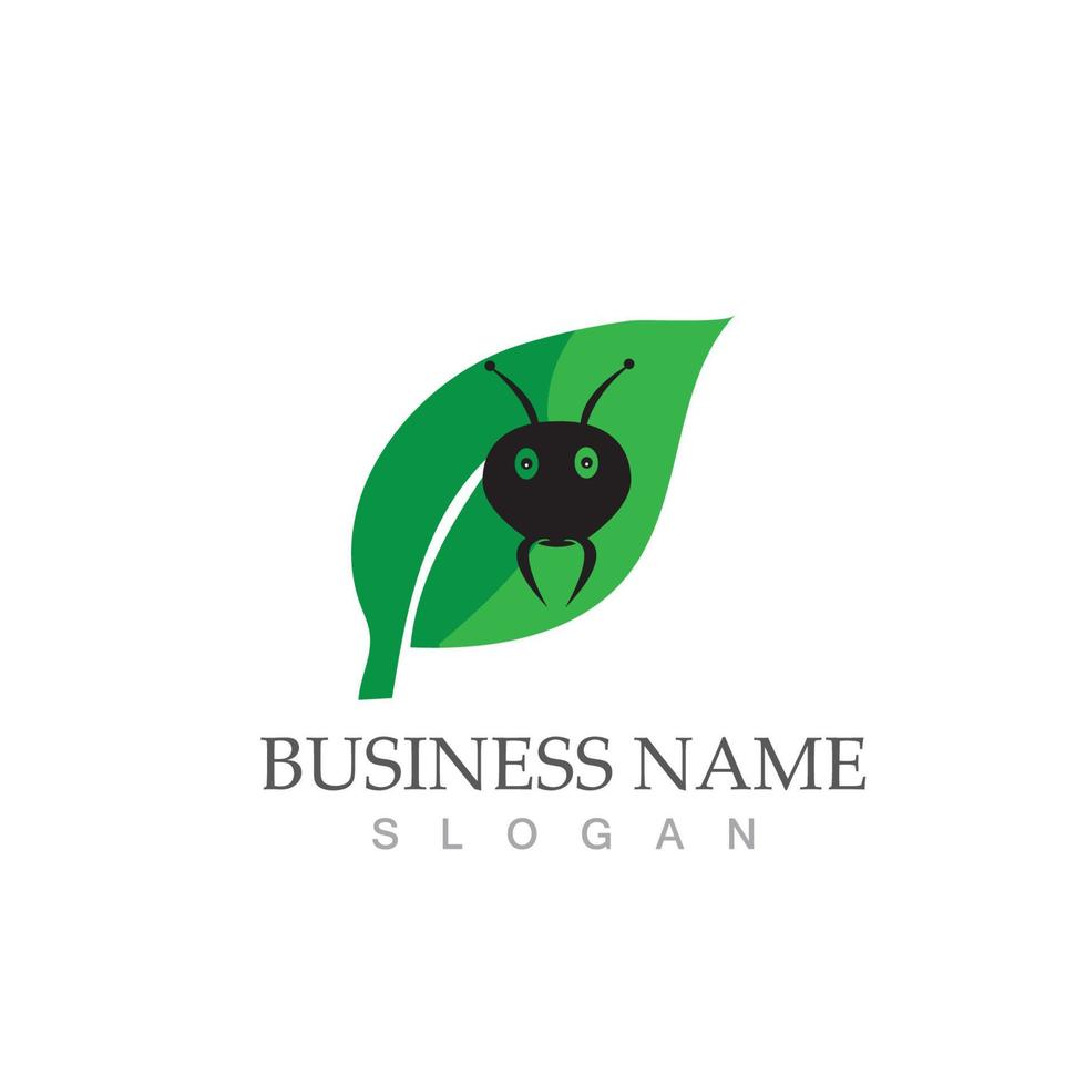 Ant logo vector illustration design symbol icon