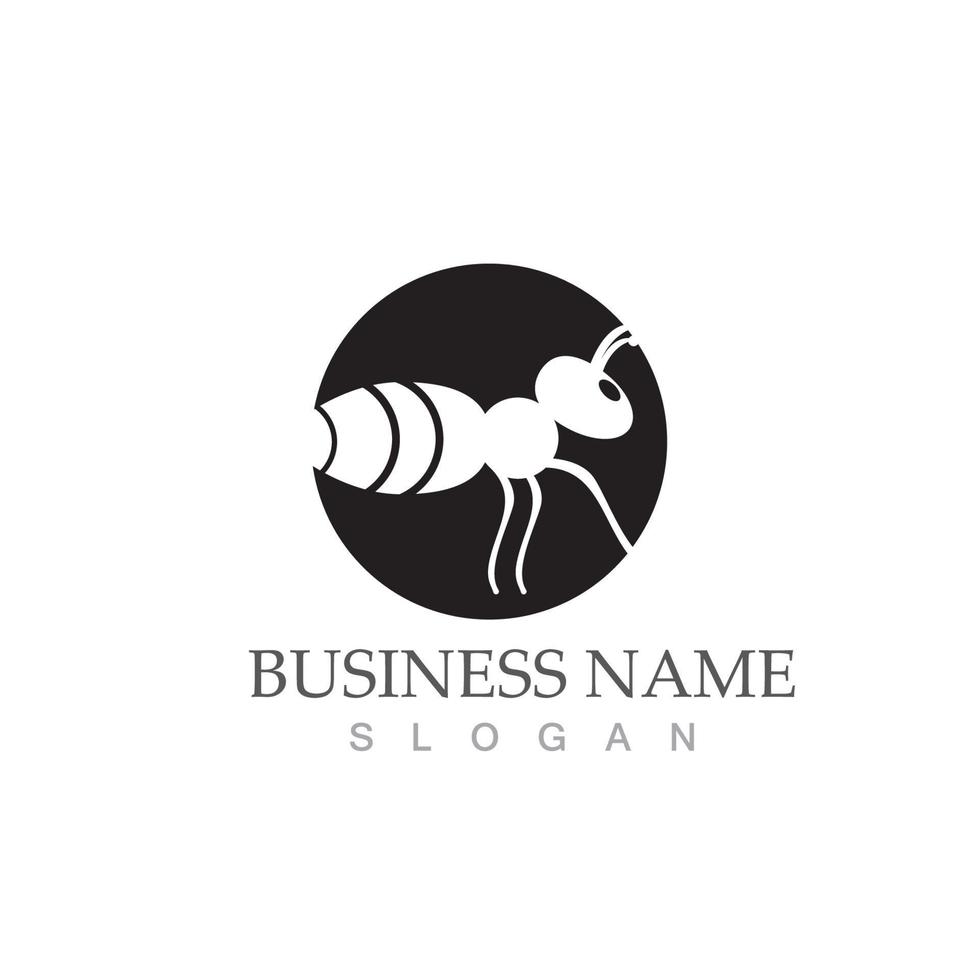 Ant logo vector illustration design symbol icon