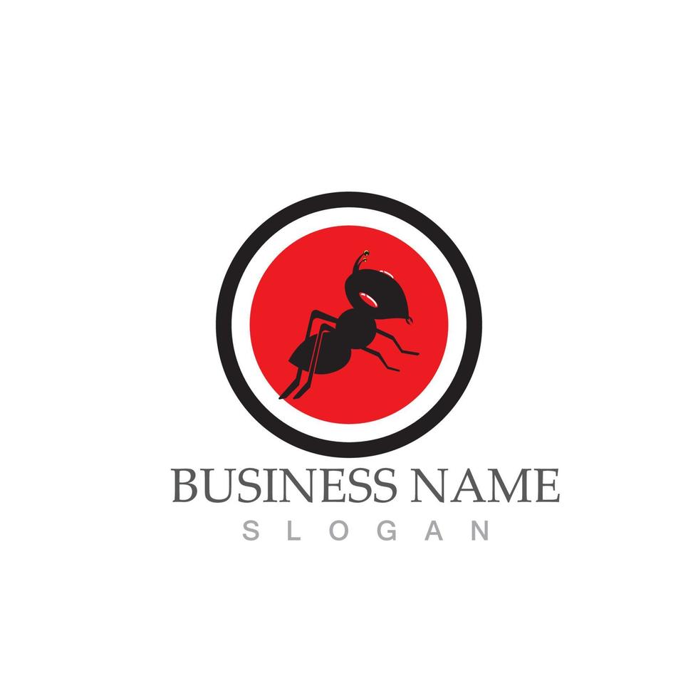 Ant logo vector illustration design symbol icon