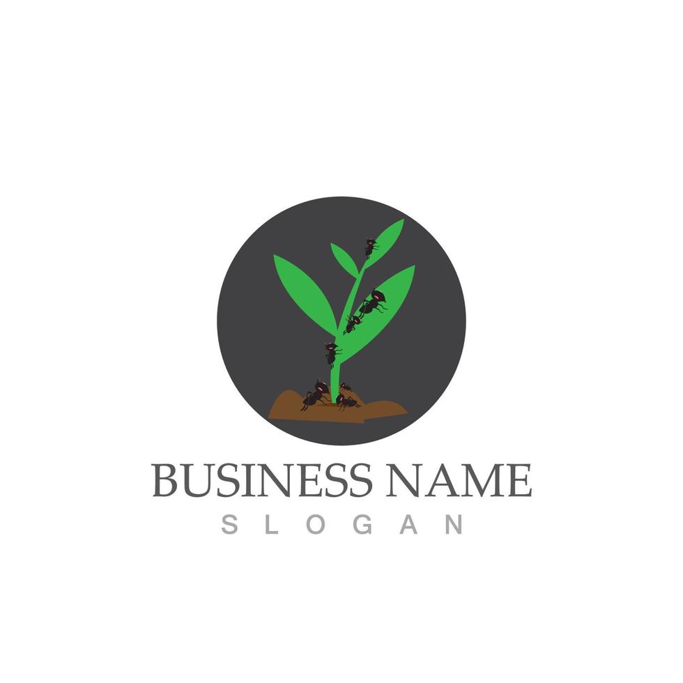 Ant logo vector illustration design symbol icon
