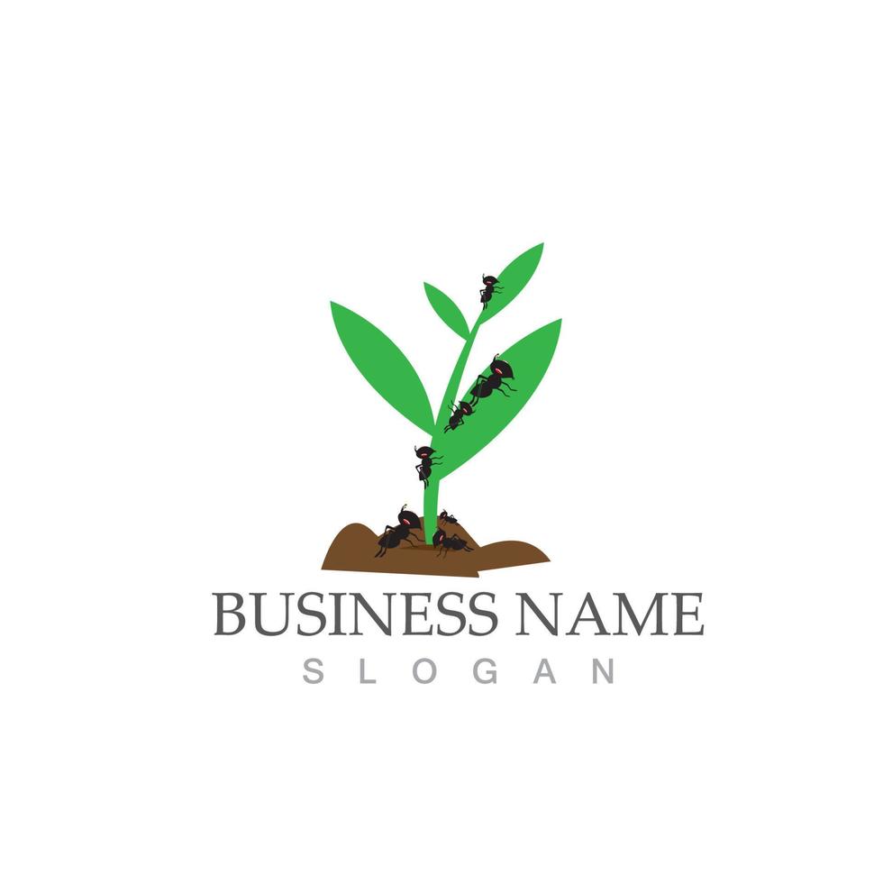Ant logo vector illustration design symbol icon