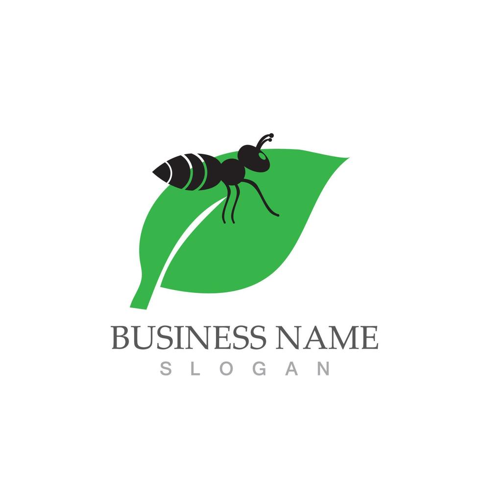 Ant logo vector illustration design symbol icon