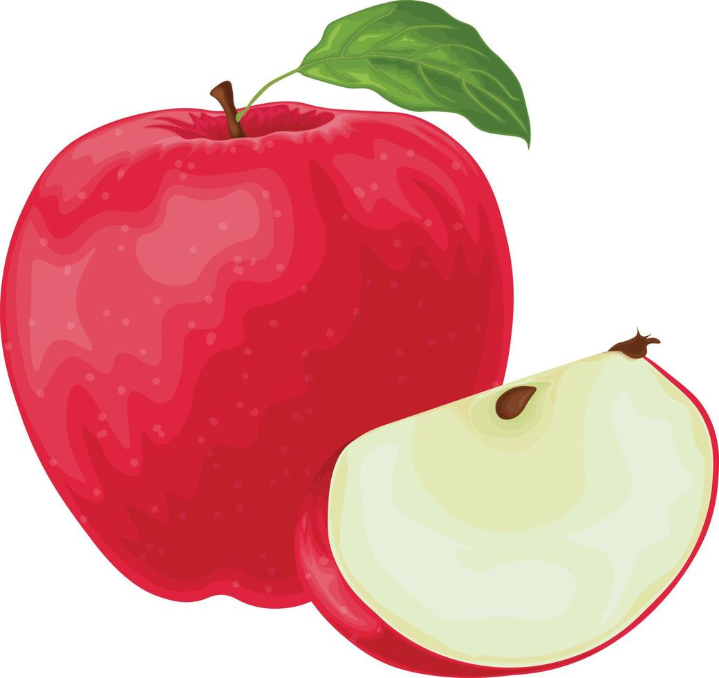 Apple. Red ripe apple. The apple is red with a green leaf. Ripe sweet fruit. Garden fruit. Vector illustration isolated on a white background