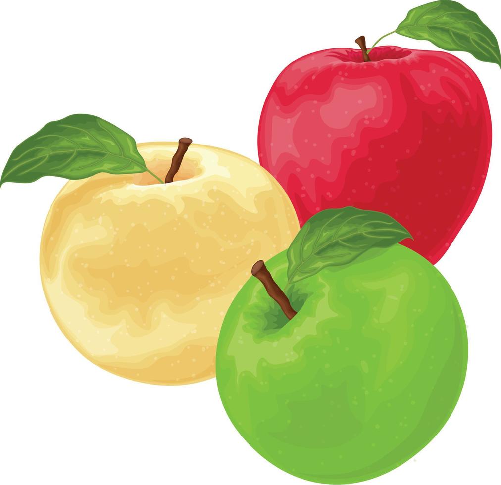 manzanas una imagen de manzanas de diferentes colores. manzana verde y amarilla roja. una colección de tres manzanas. ilustración vectorial aislada en un fondo blanco. vector