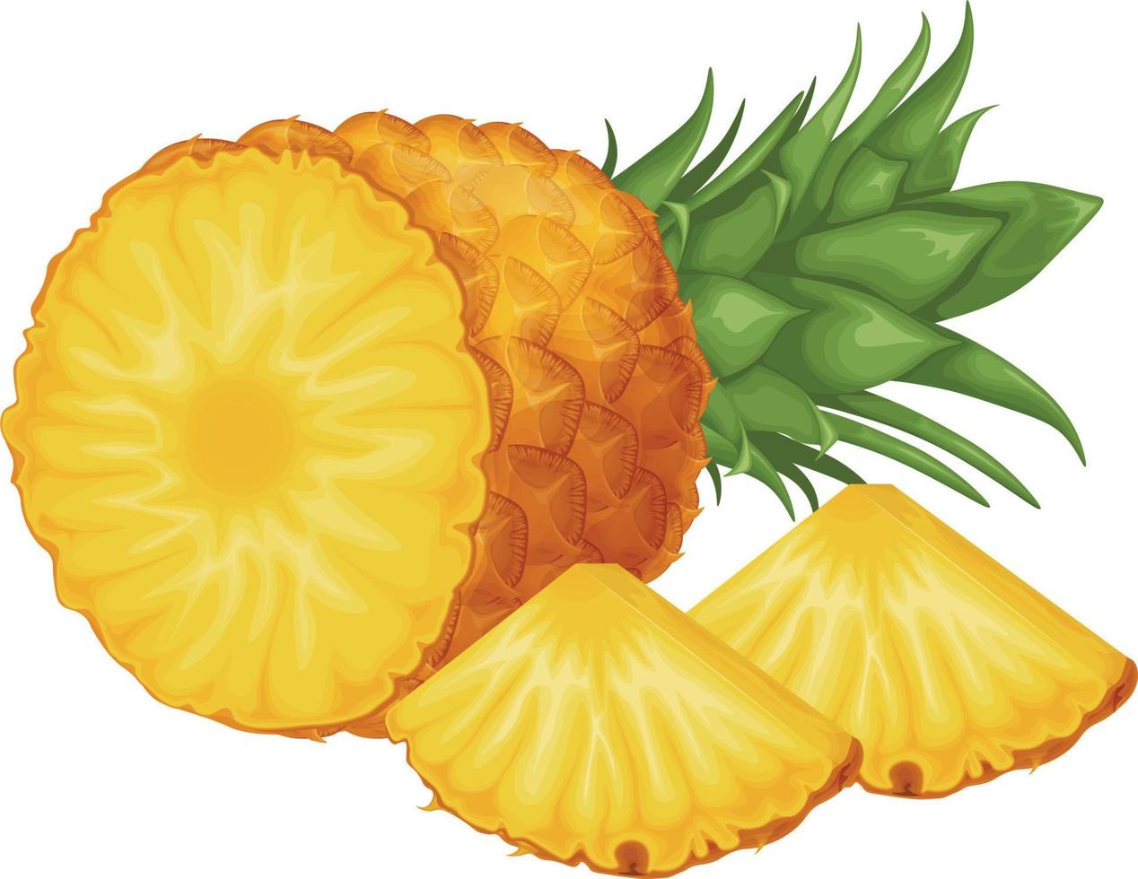 Pineapple. Image of pineapple cut into pieces. Pieces of ripe pineapple. Sweet tropical fruit. Vector illustration