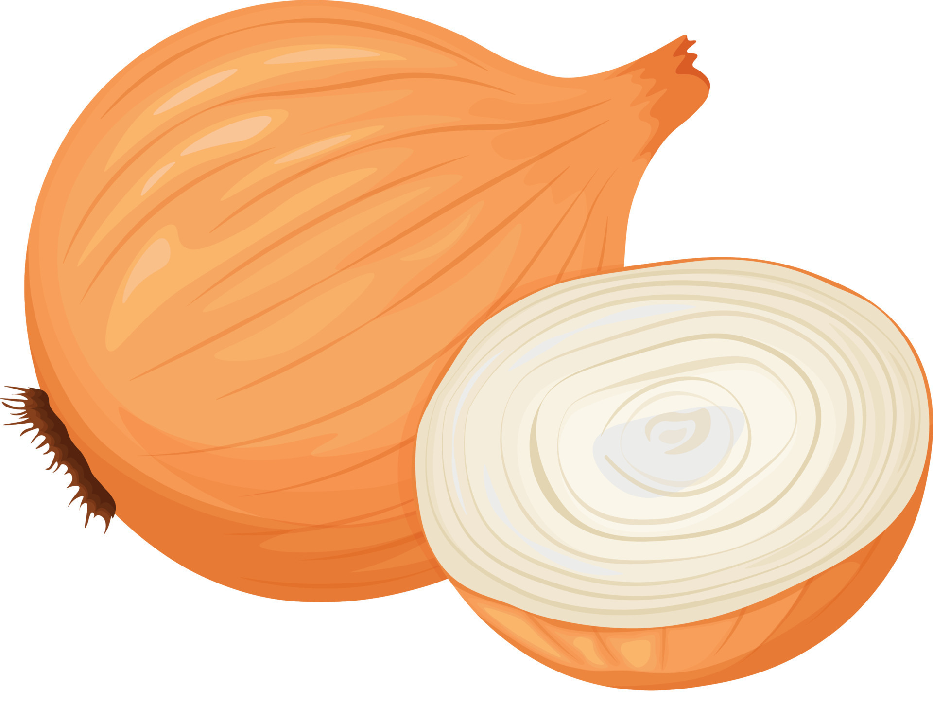 Unpeeled onion head. Vegan, vegetarian food. An ingredient for cooking