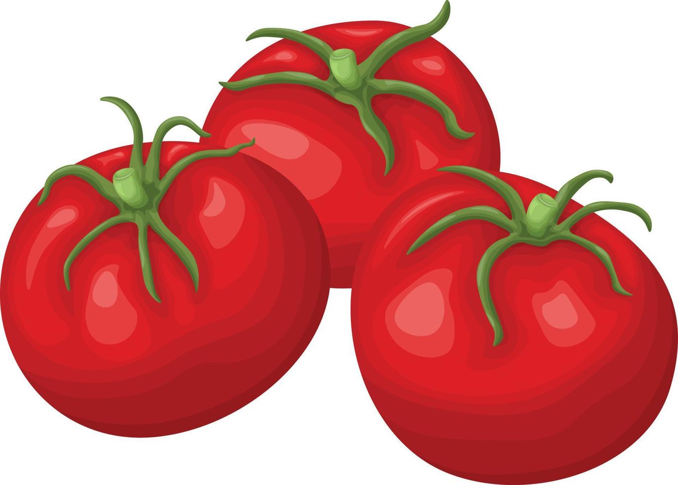 Tomatoes. Red ripe tomatoes. Image of ripe vegetables. Three tomatoes in cartoon style. Vector illustration isolated on a white background.