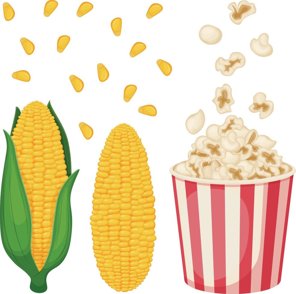 Corn. Image of corn with leaves. An ear of corn. Popcorn in a bucket. Fried corn. Vector illustration