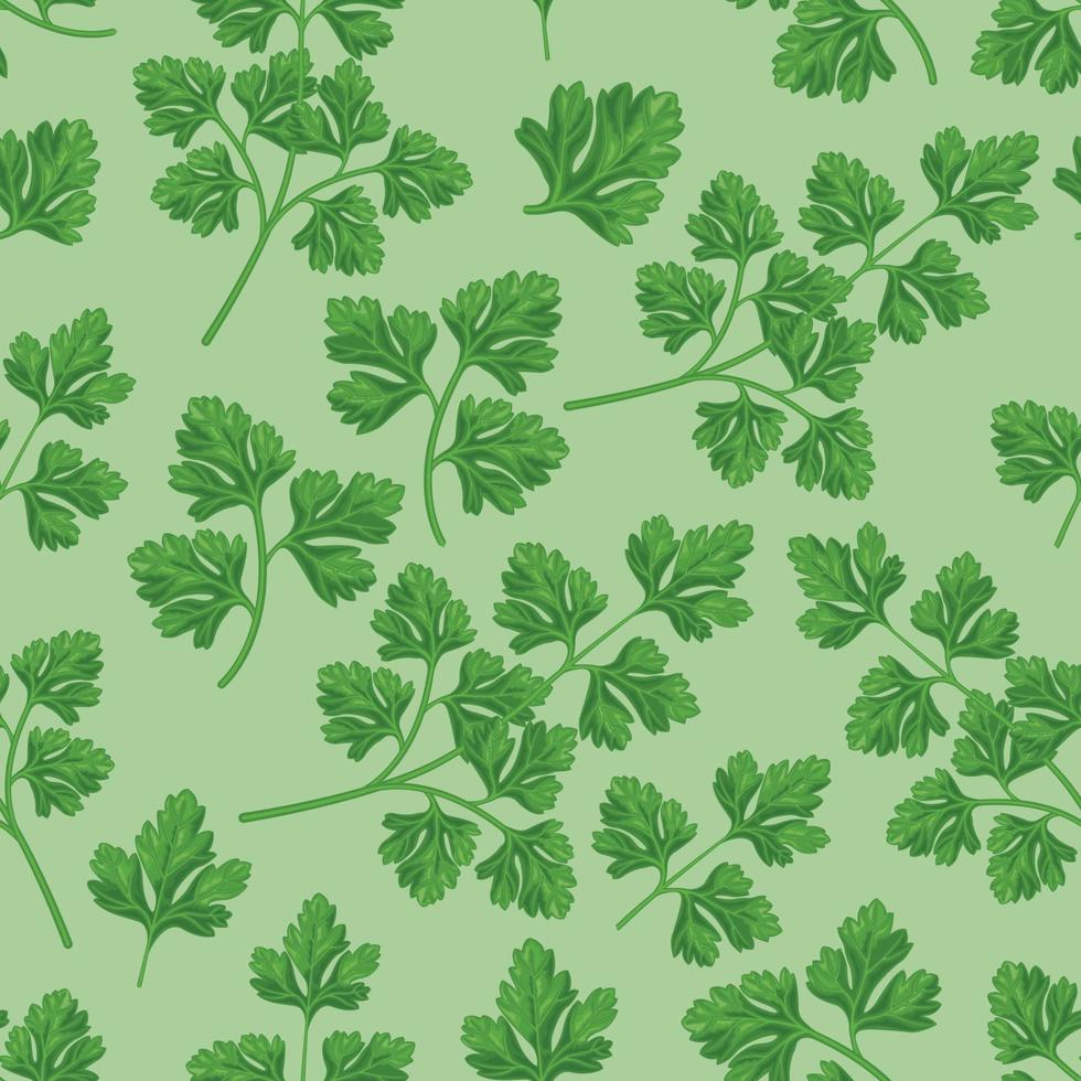 Seamless pattern. Pattern with parsley leaves. A pattern with spices.Green pattern for the print. Vector illustration