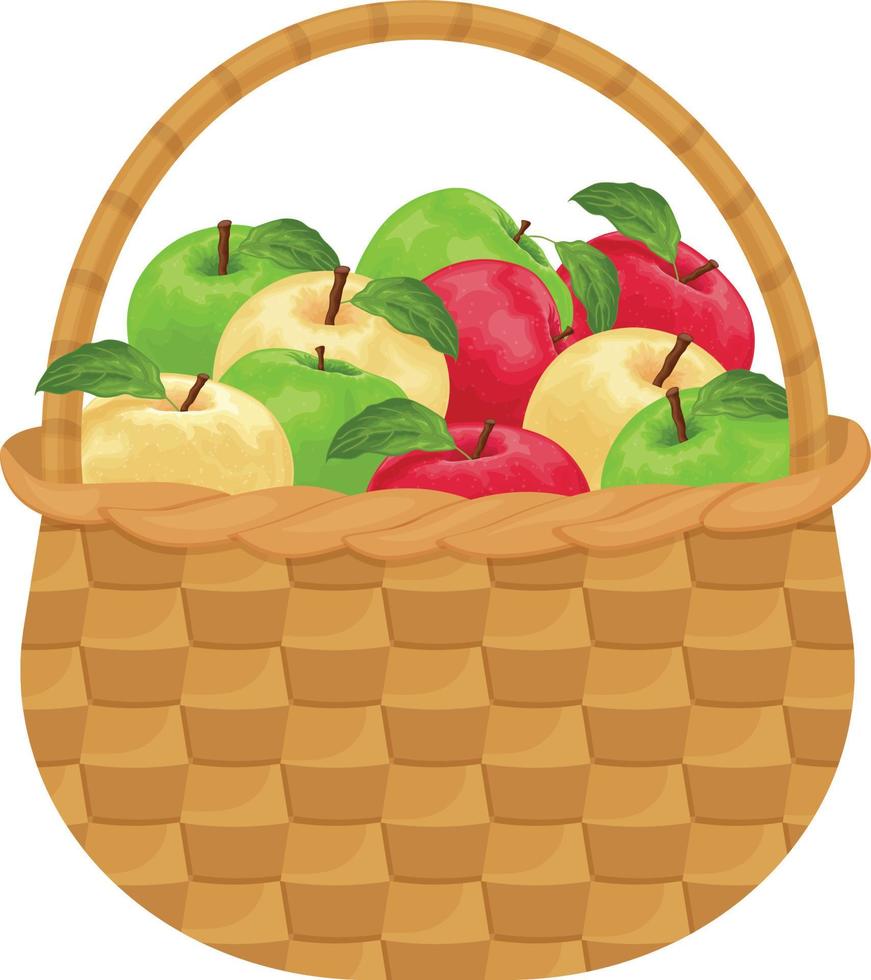 manzanas manzanas maduras en una cesta de mimbre. una cesta de manzanas. una canasta con manzanas maduras. productos vitamínicos ilustración vectorial aislada en un fondo blanco vector