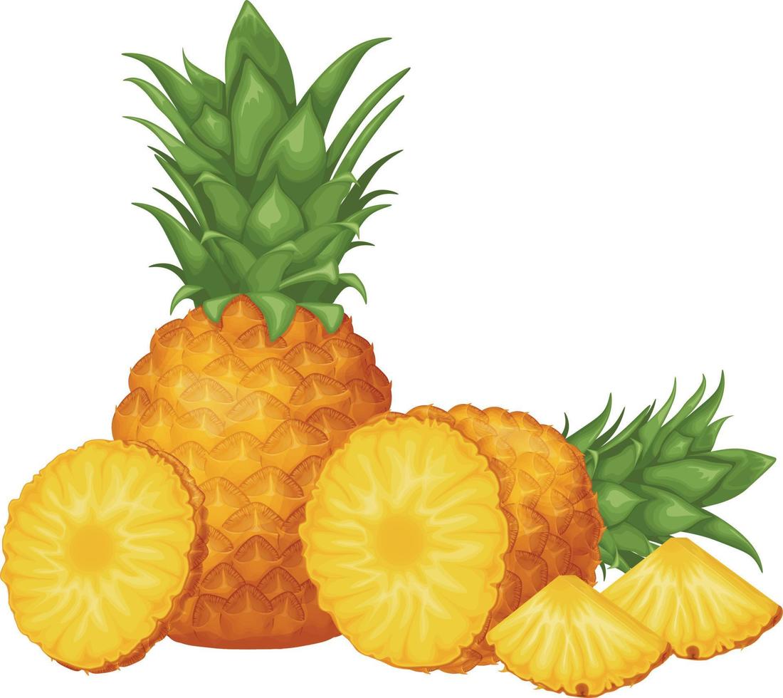 Pineapple. Image of pineapple cut into pieces. Pieces of ripe pineapple. Sweet tropical fruit. Vector illustration