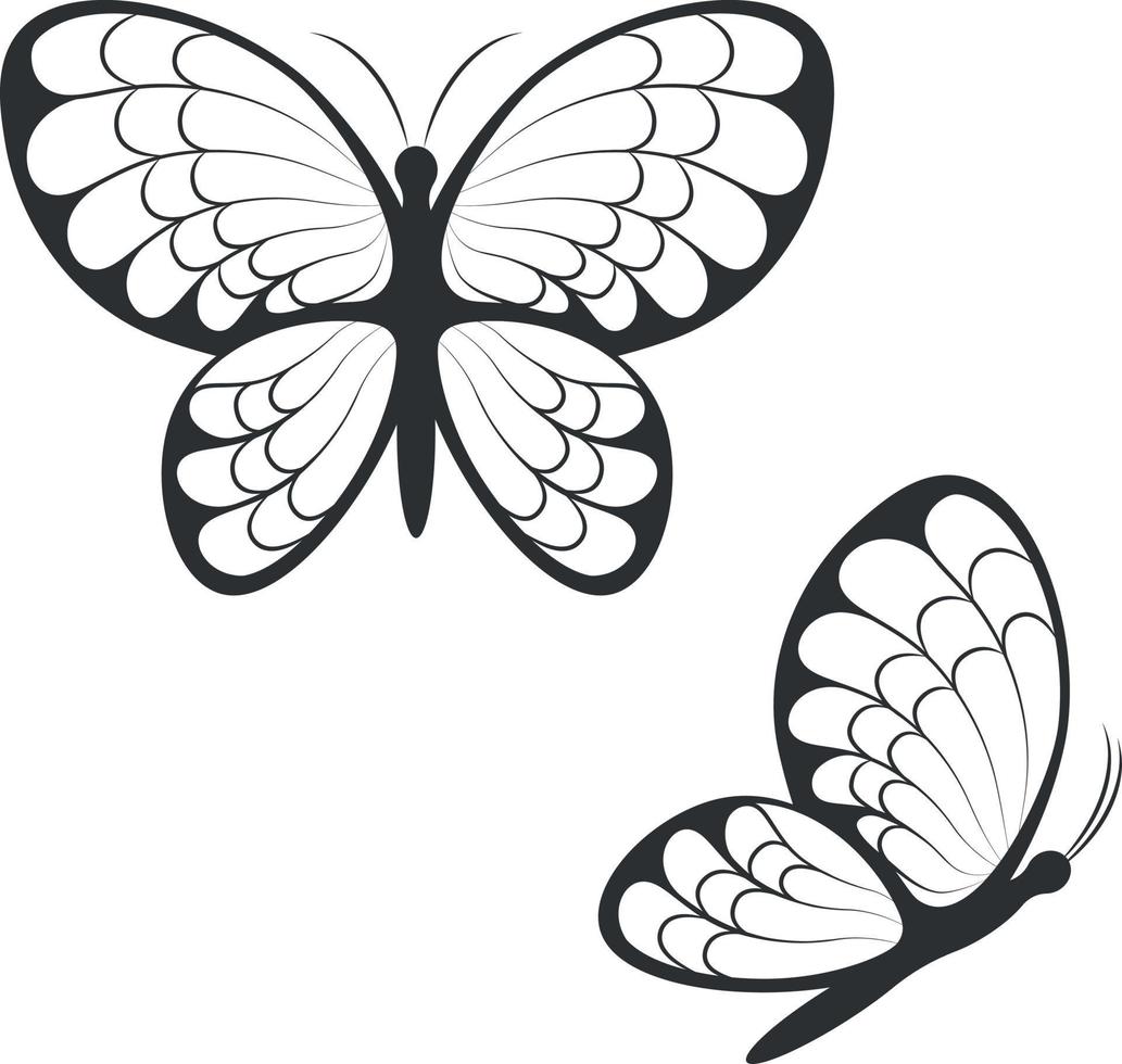 silueta de mariposas. imagen de hermosas mariposas vista superior y lateral. una polilla brillante. ilustración vectorial aislada en un fondo blanco vector