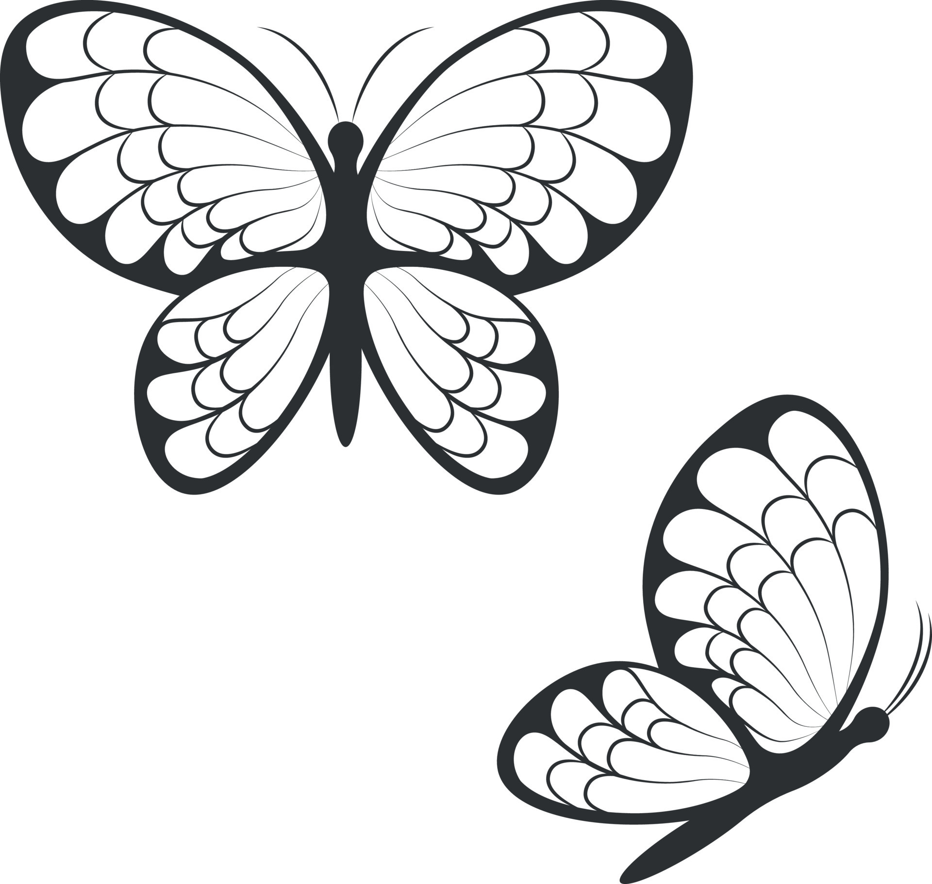 Silhouette of butterflies. Image of beautiful butterflies top and side