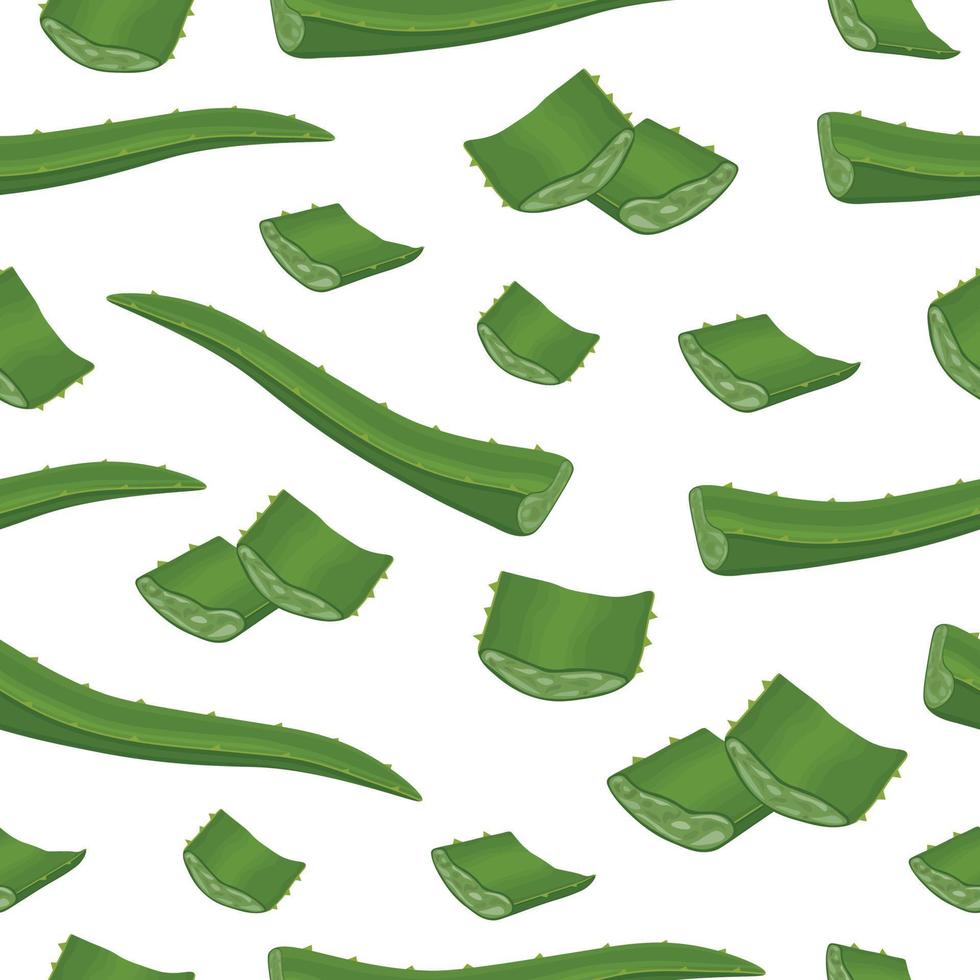 Seamless pattern with the image of aloe leaves. A pattern with green medicinal plants. Pattern with aloe, for the prince on a white background. Vector illustration
