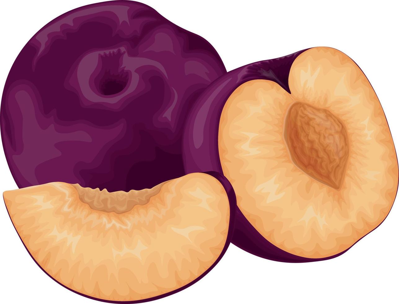 Plum. Ripe purple plum. Fresh sweet plum. Ripe juicy plum berry in the section. Vegetarian organic product. Vector illustration isolated on a white background