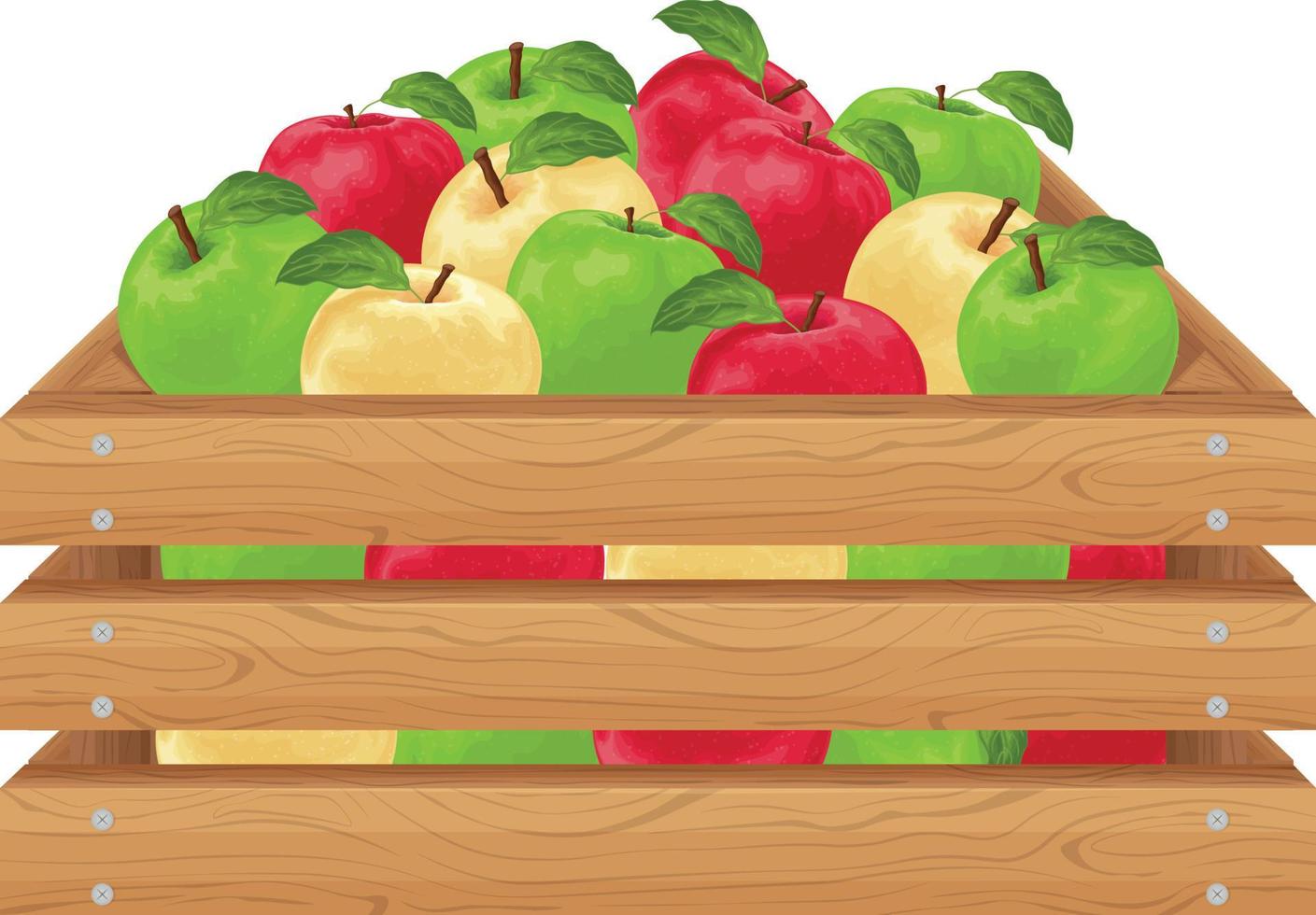 Apples. Ripe apples in a wooden box. A box with colorful apples. Ripe fruit. Organic vegetarian products. Farm products. Vector illustration isolated on a white background